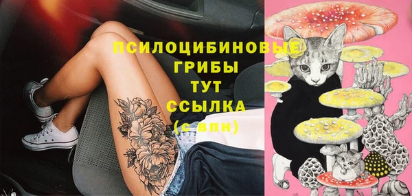 эйфоретик Навашино