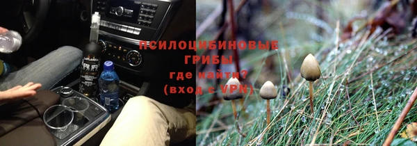 mix Надым